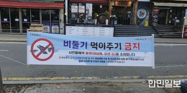 ‘비둘기 먹이주기 금지’ 안내 현수막