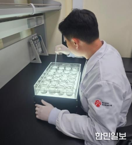 광주광역시 “주요 하천 수생태계 건강하다”