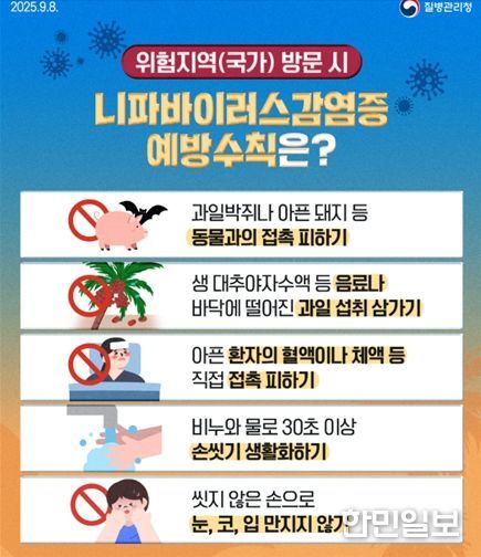 니파바이러스 예방수칙 질병청 카드뉴스