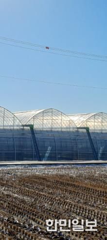 부안 보안면, 농업시설 및 농작물 안전관리 요령 홍보