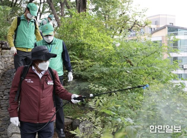 집중 방역소독의 날에 방역 작업을 하고 있는 박강수 마포구청장