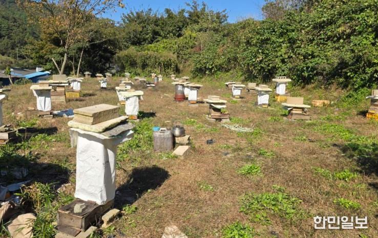 순천시, ‘찾아가는 한봉 기초 사양관리 교육’ 실시