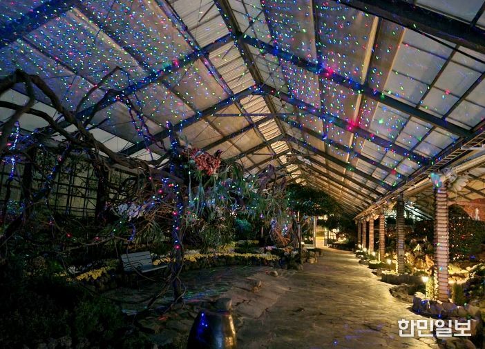 자연생태관 실내 연출 모습