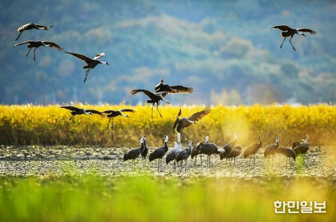 ‘한국 건강 지수’ 호남권 1위 선정