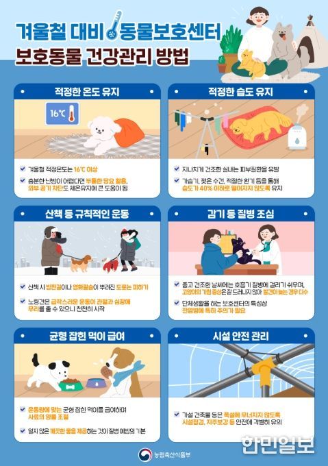 '겨울철 대비 동물보호센터 보호동물 건강관리 방법' 안내 포스터