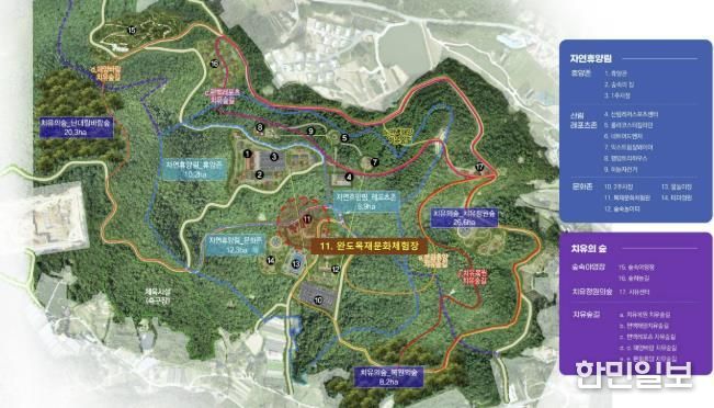 완도군, 80억 투입 산림치유단지에 목재 문화 체험장 조성