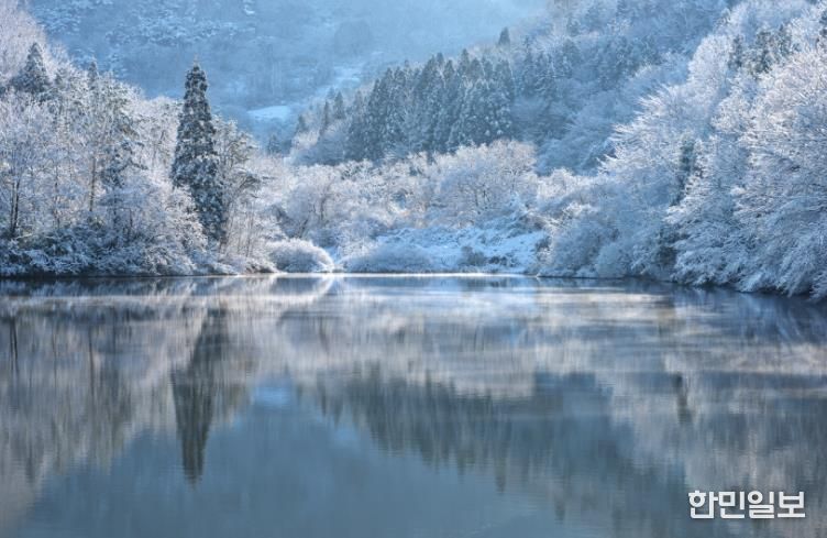 화순 세량제의 겨울아침(정인희 작품).