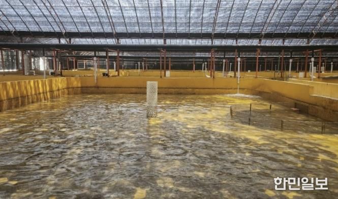 완도 광어 양식장