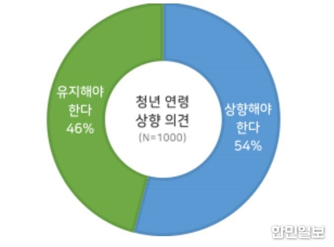 청년 연령 기준 상향 의견