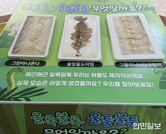 뱀 허물 만지기 체험
