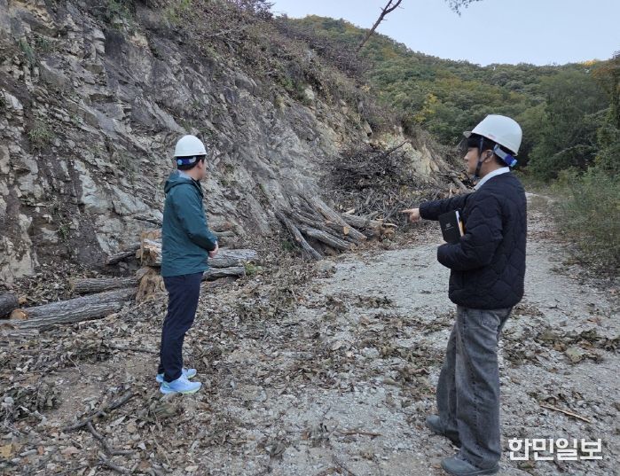 벌채지 점검 모습