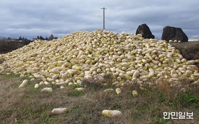농산물류 폐기물 무단 투기 집중 단속