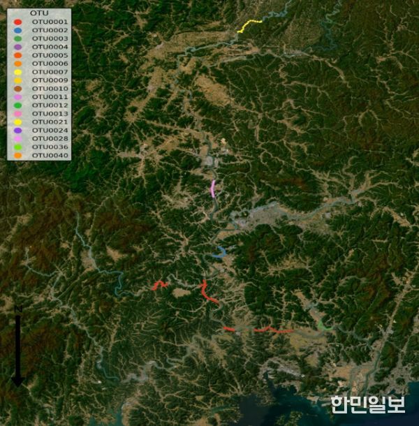 낙동강수계 유전형 분포