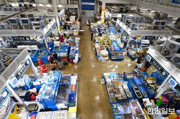 수원시농수산물도매시장 수산동 전경