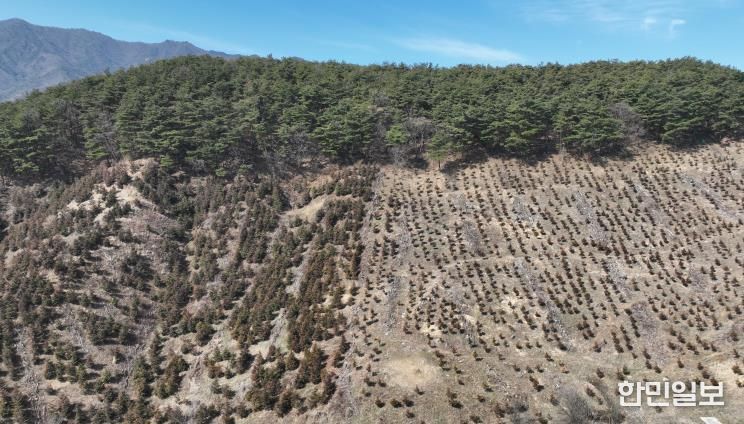 산청군, 경남도 산림자원분야 평가 장려상..조림·숲가꾸기 효율 관리