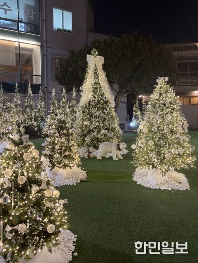 여행자의집, 크리스마스트리 점등