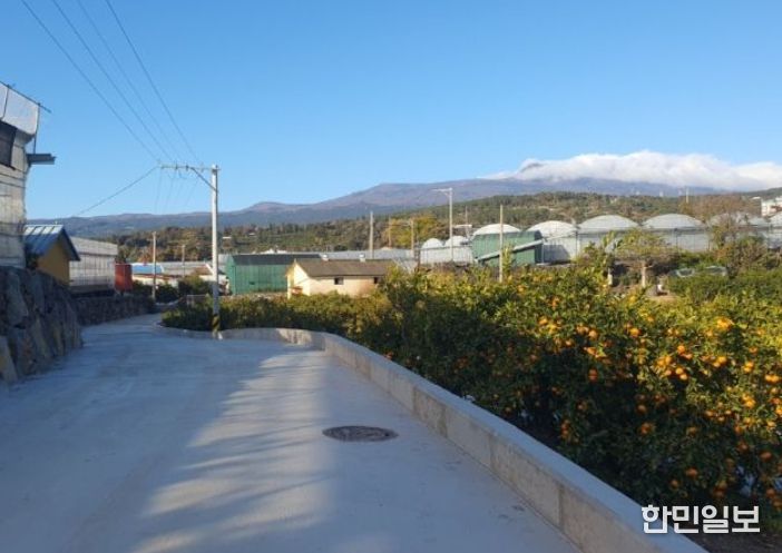 강정지구 밭기반 정비사업 준공