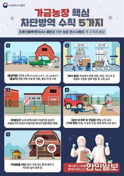 전북, 올겨울 첫 AI 발생에 14개 시군 비상방역 돌입