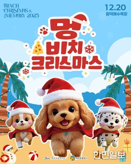 반려견과 함께하는 비치크리스마스