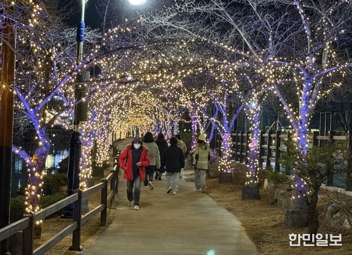 망정우로지공원 경관 조명, 수목보온재 설치 모습