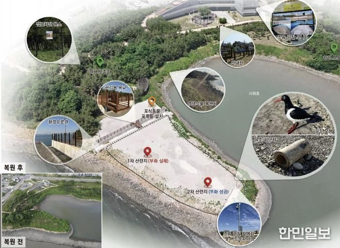 철새도래지 서식처 조성사업_철새서식지