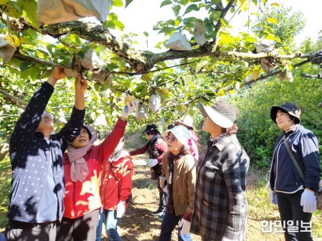 행복바우처 사진