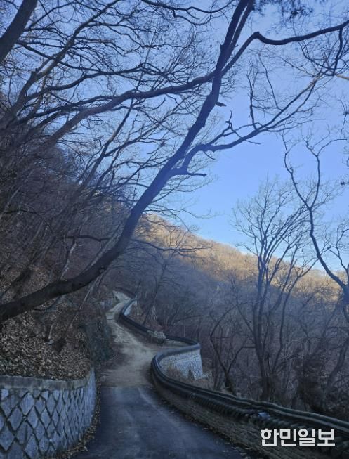 용인특례시가 석성산 숲길 정비사업을 진행한 현장 모습