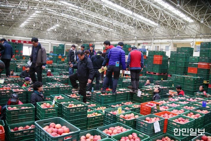 안동시농수산물도매시장 신정 정기휴장 실시