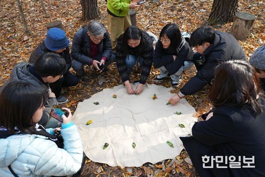 강원관광재단, ‘감탄로드’