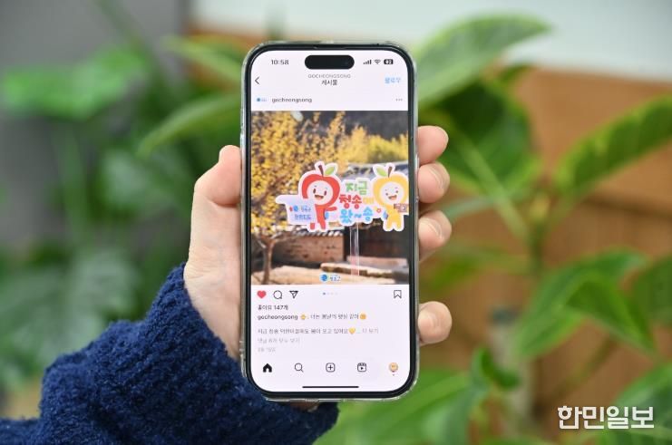 2026 청송군 SNS 홍보단 ‘온통청송’ 본격 활동 돌입