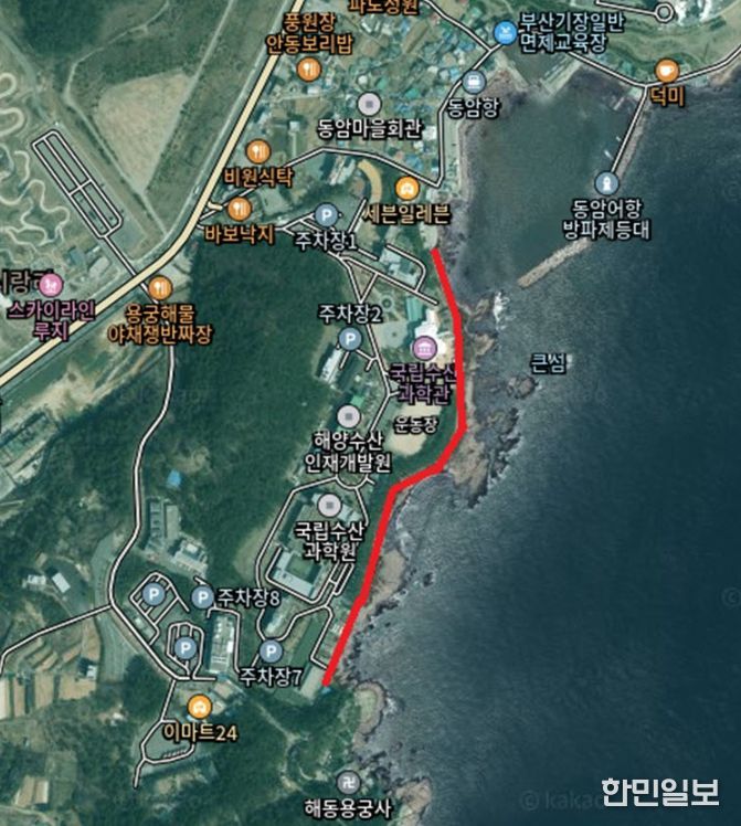 , 새해 해맞이 ‘갈맷길 해안로’ 일부 통제