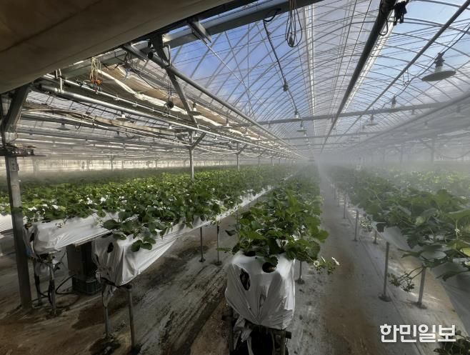 광주시, 선택형 맞춤 농정사업 추진…명품 농산물 육성 본격화