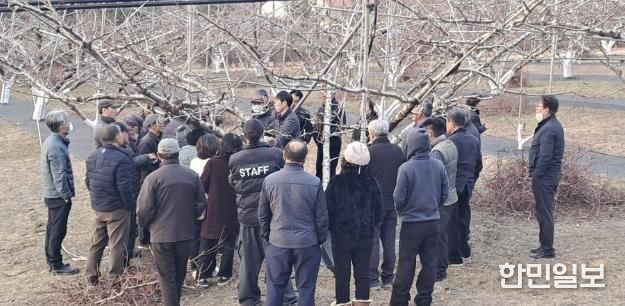 충주농기센터, 복숭아 정지전정 현장교육 실시