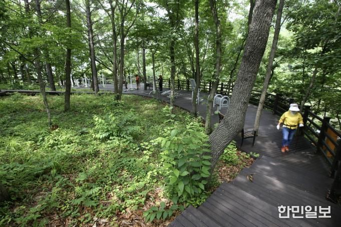 금강저수지 둘레길