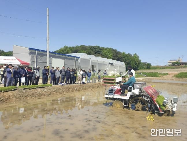 드문모 심기 이앙 연시회