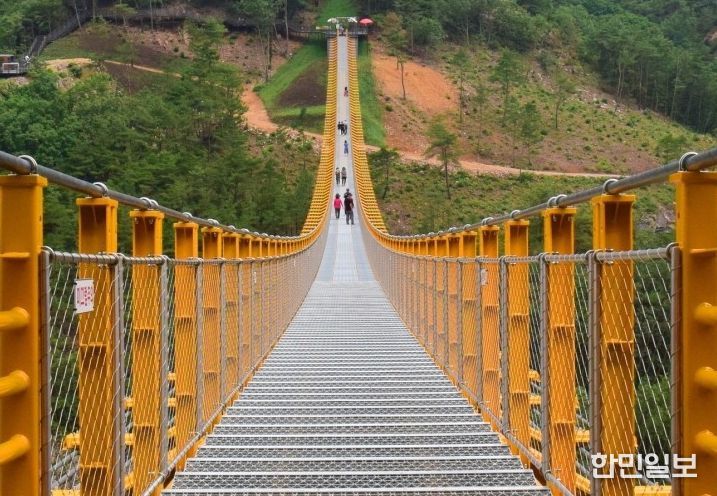 금산군 월영산 출렁다리