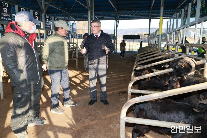 예천군, 2026년 첫 염소 경매 실시