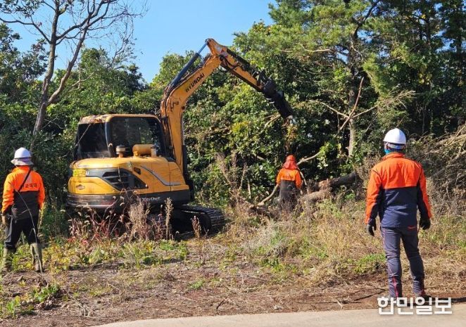 피해고사목 제거