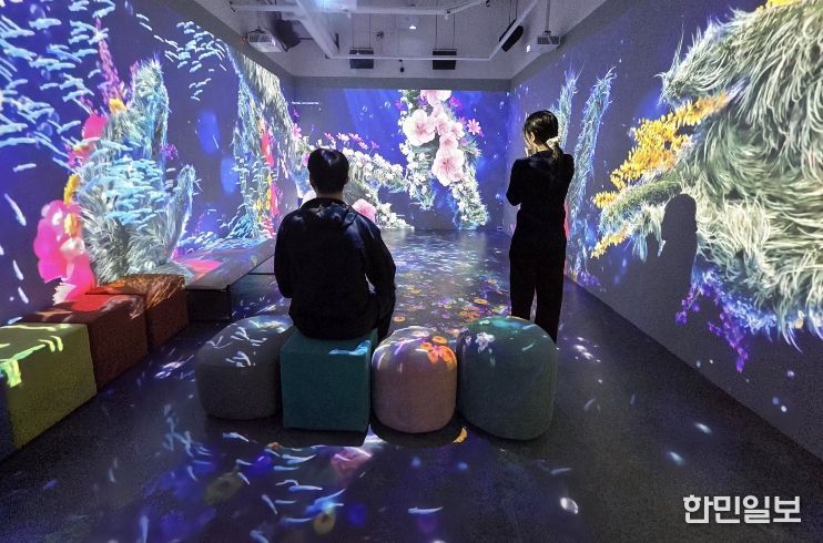 달서구, 국립극장 실감콘텐츠 상영…“공연예술을 디지털로 만나다”