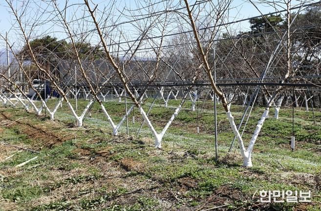 수성 페인트 도포 사진