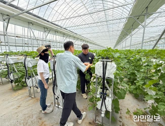 지난해 스마트팜 선도농가 현장실습 모습