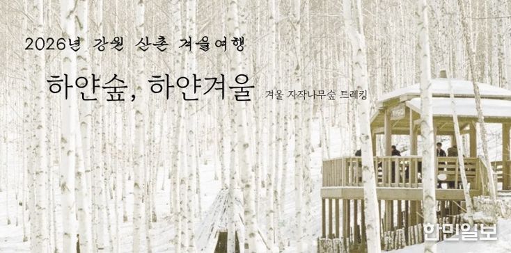 인제 자작나무숲에서 즐기는 겨울 힐링 여행