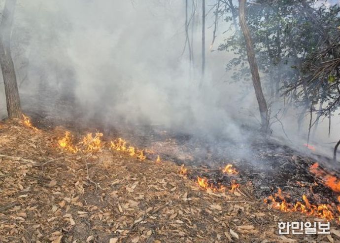 고성군 금남면 대치리 산불(2026년 1월 20일)