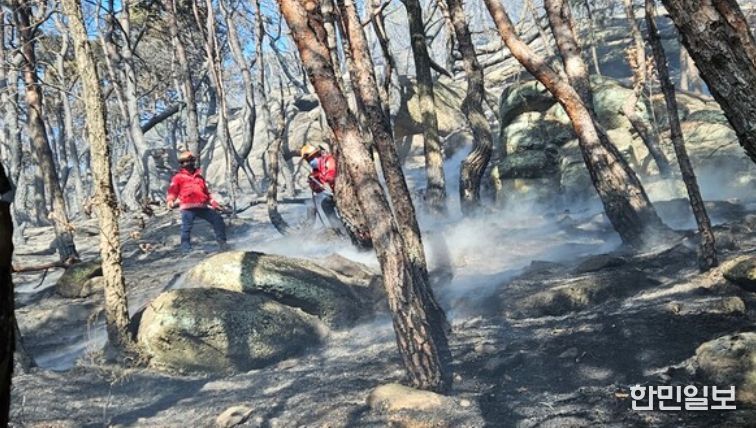 구미 산불 신속 진화