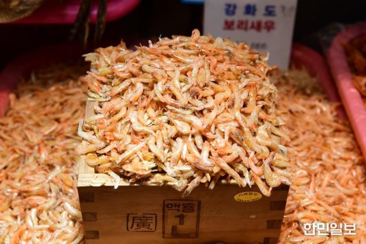 강화군, 수산물 건조기 지원 신규 추진… 연중 생산 체계 구축 ․ 유통 경쟁력 강화