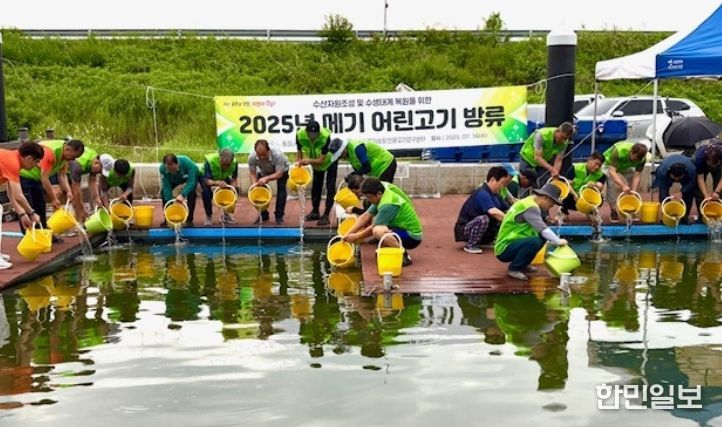 2025년 메기 어린고기 방류(창원)