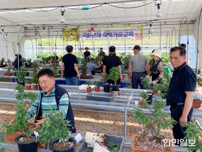 함양군, 제7회 국화분재 재배기술교육 교육생 모집