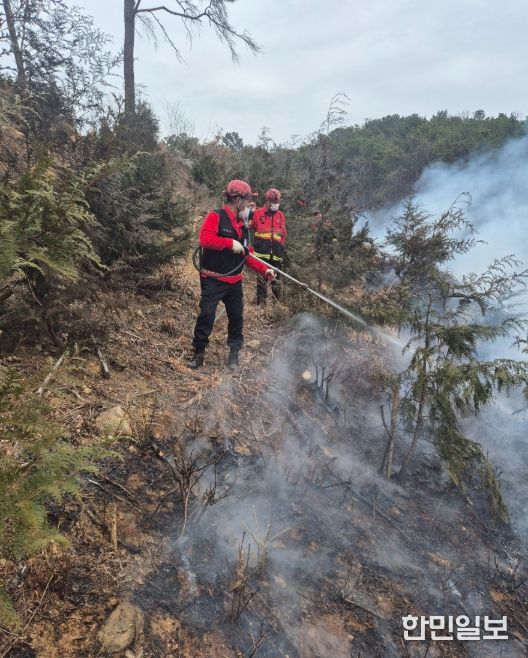 산불 진화 및 인화물질 제거 활동