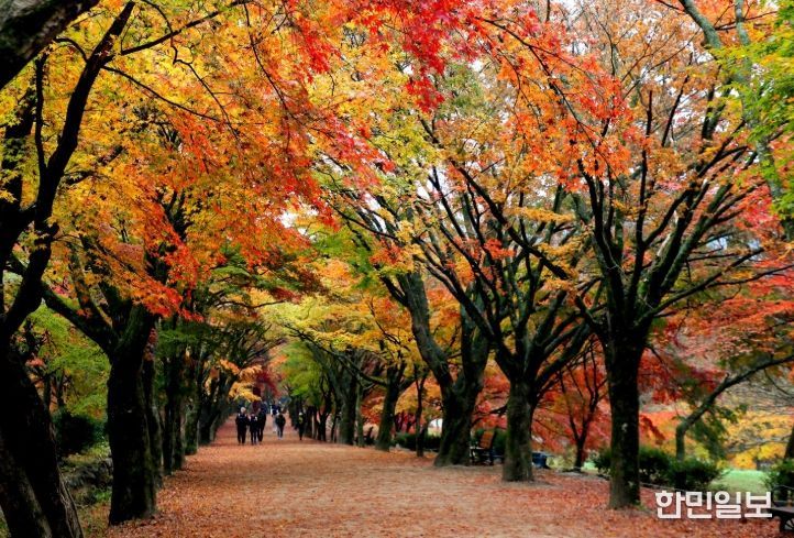 정읍시, 2025년 주요 관광지점 방문객 196만 명