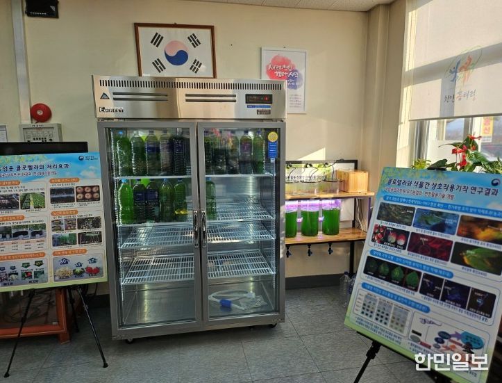 1. 천안시농업기술센터가 클로렐라를 배양하고 있다.